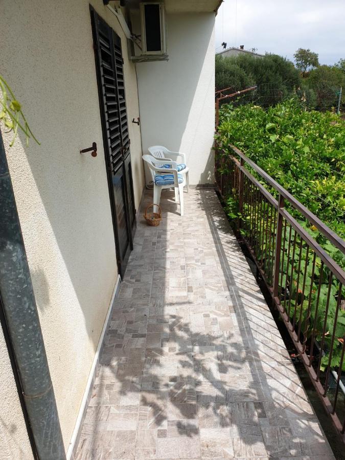Apartments Ljiljana 奥瑞比克 外观 照片