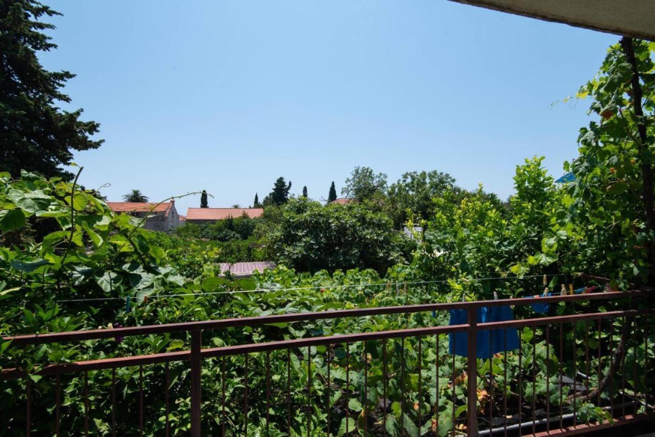 Apartments Ljiljana 奥瑞比克 外观 照片